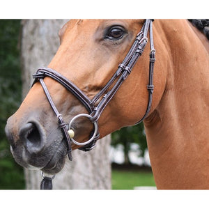 Jump'in Thursday Bridle - Week Collection