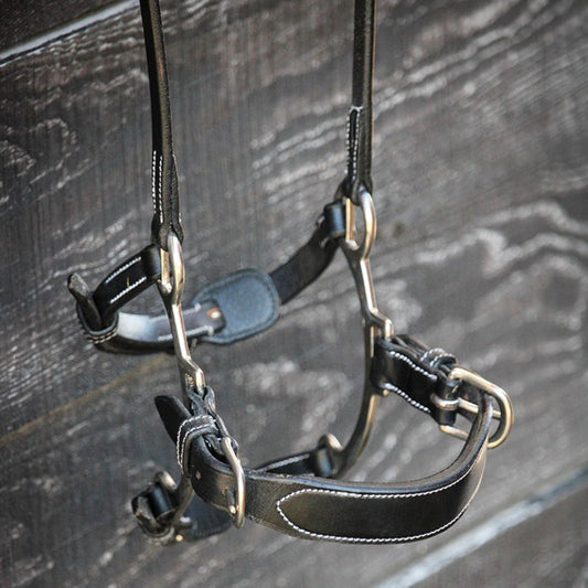 Jump'in Hackamore Noseband- Week Collection