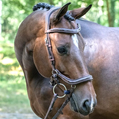 Jump'in Manhattan Bridle - One Collection