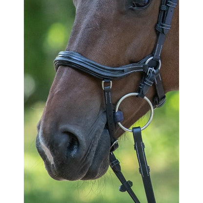 Jump'in Manhattan Bridle - One Collection