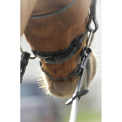 Penelope Point Sellier Bridle