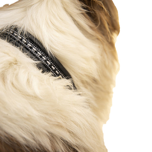 Penelope Dog Collar