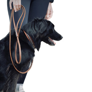Penelope Leather Dog Leash