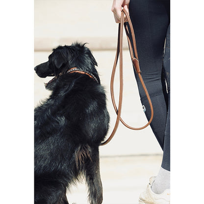 Penelope Leather Dog Leash