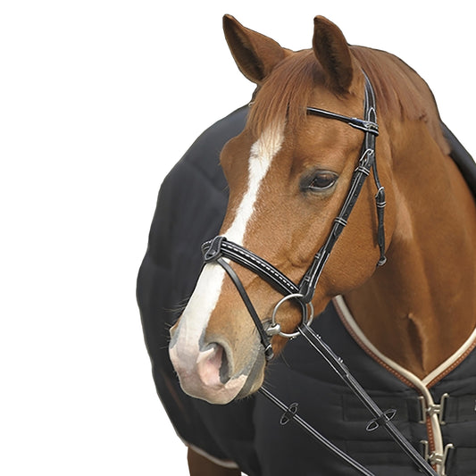 Penelope Point Sellier Bridle