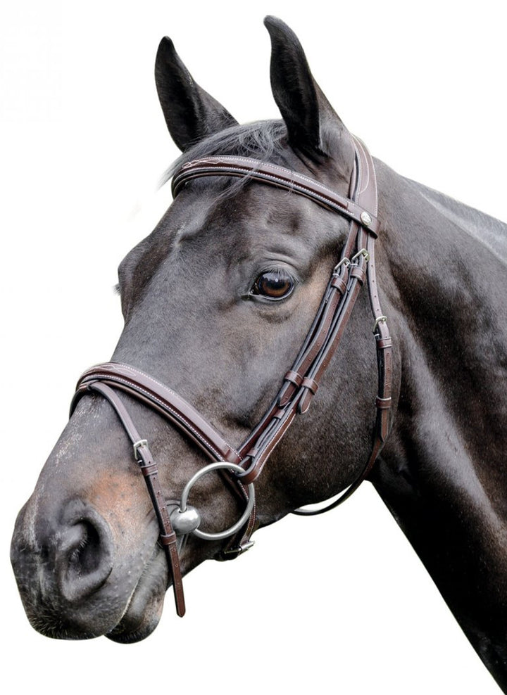 Jumper Bridles Eventing Bridles The Farm House Farm House Tack