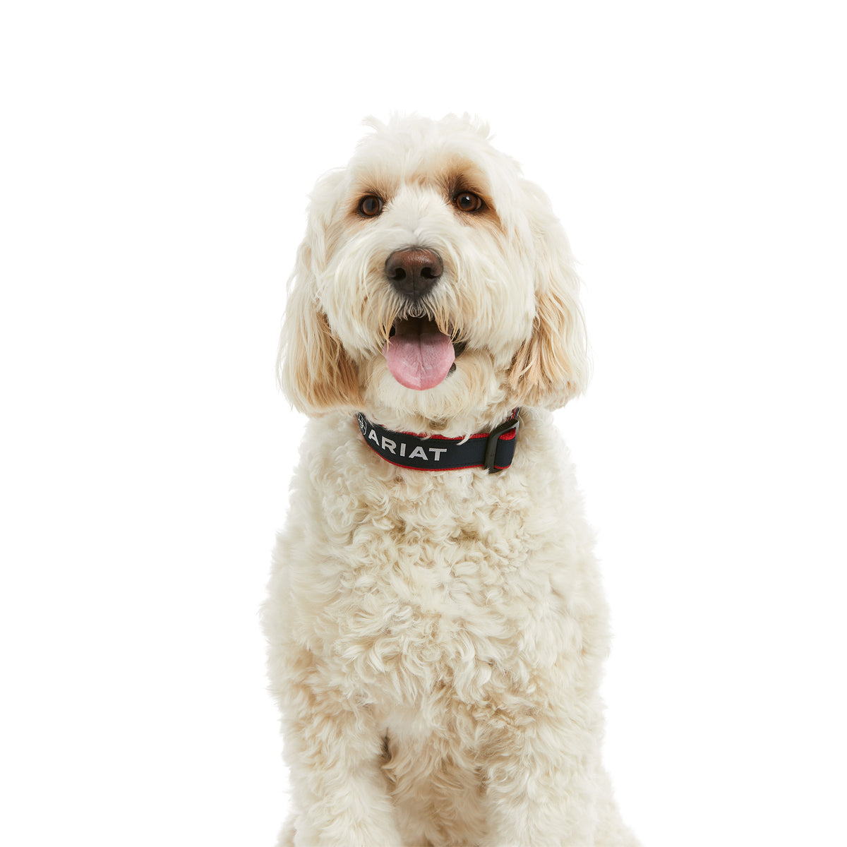 Ariat Dog Collar - Sale