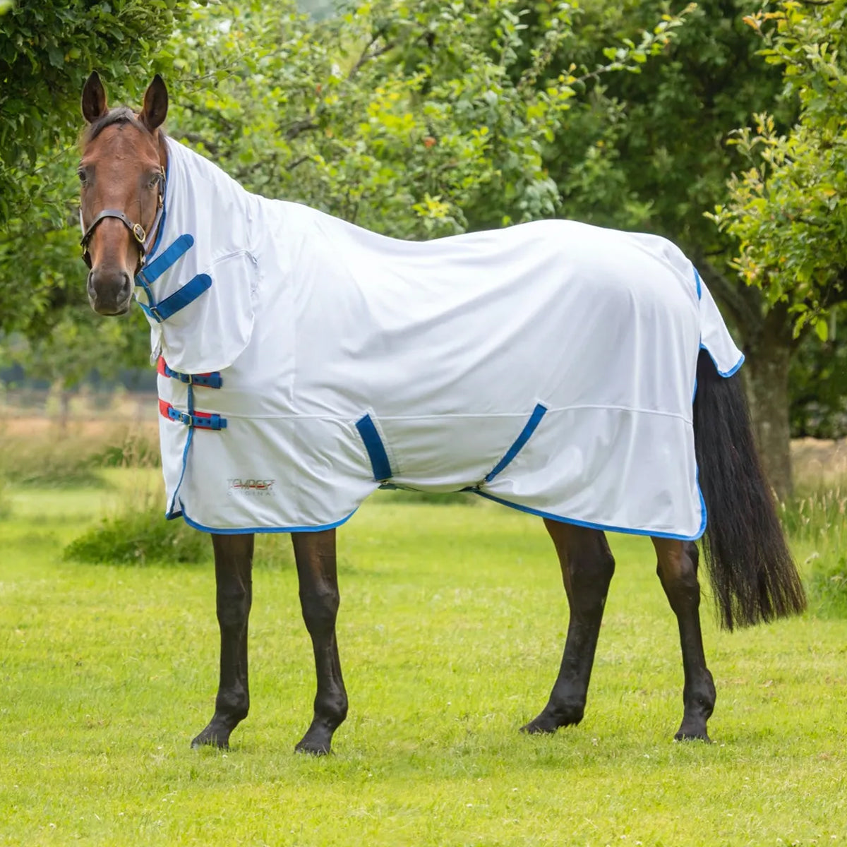 Tempest Fly Sheet With Standard Neck