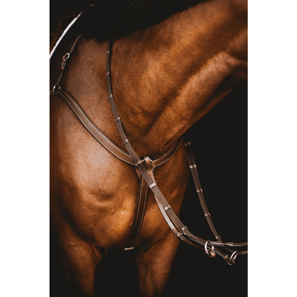 Arion Anatomic 3 Point Breastplate- Sale