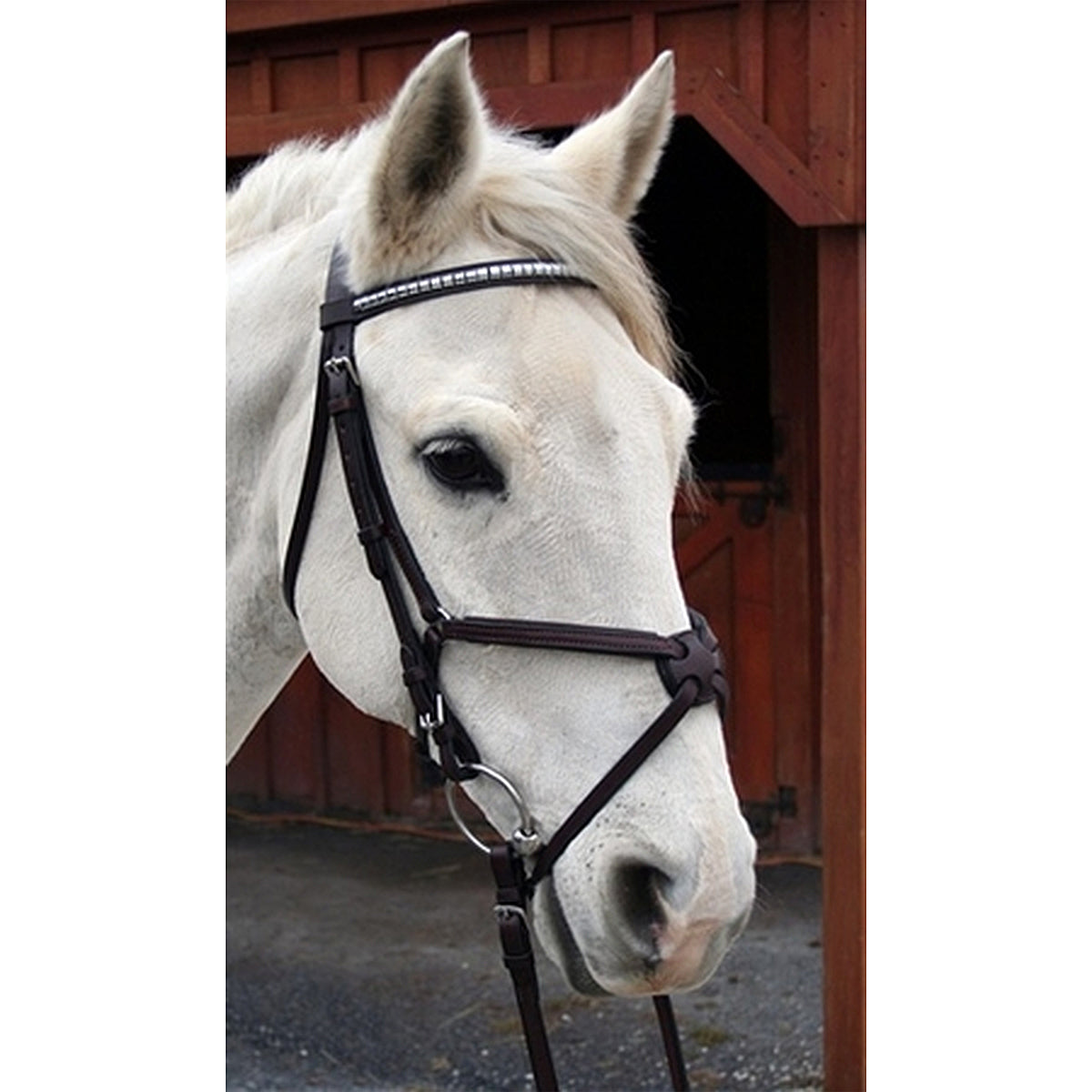 Horse Riding Clothing, Saddles, Briddles & Accessories - Decathlon