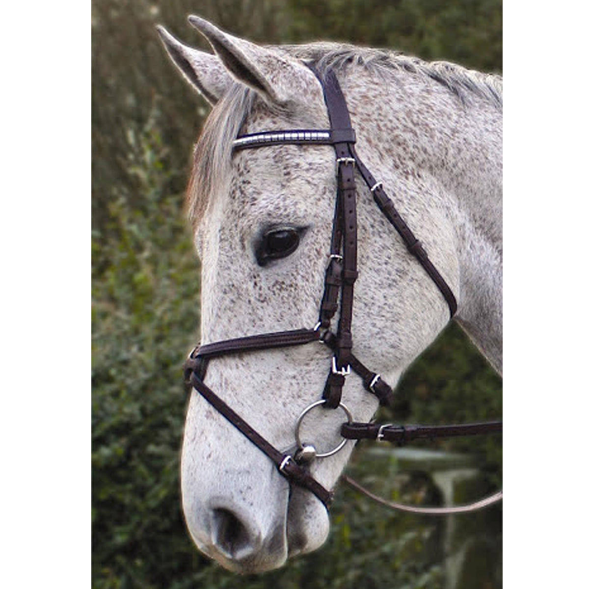 Nunn Finer Padded Figure 8 Noseband with Interchangeable Button Pieces