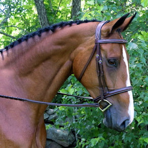 Red Barn by KL Select Synergy Hunter Bridle