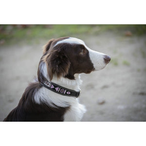 Penelope Pearl Dog Collar