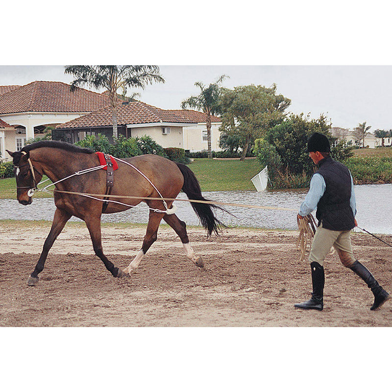 Horse Lunging Equipment & Accessories The Farm House