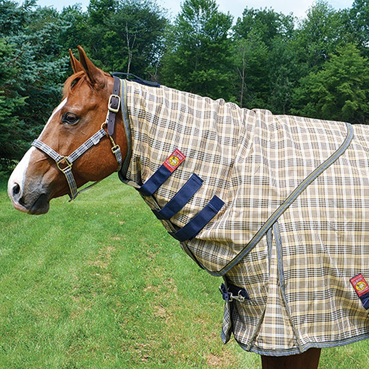 5/A Baker Neck Cover for Turnout Sheet