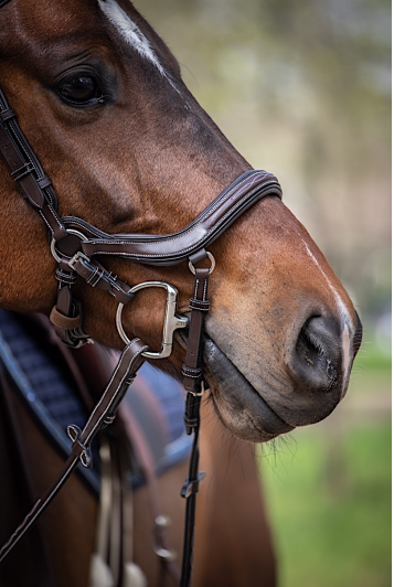 Jump'in Summer Bridle - Week Collection